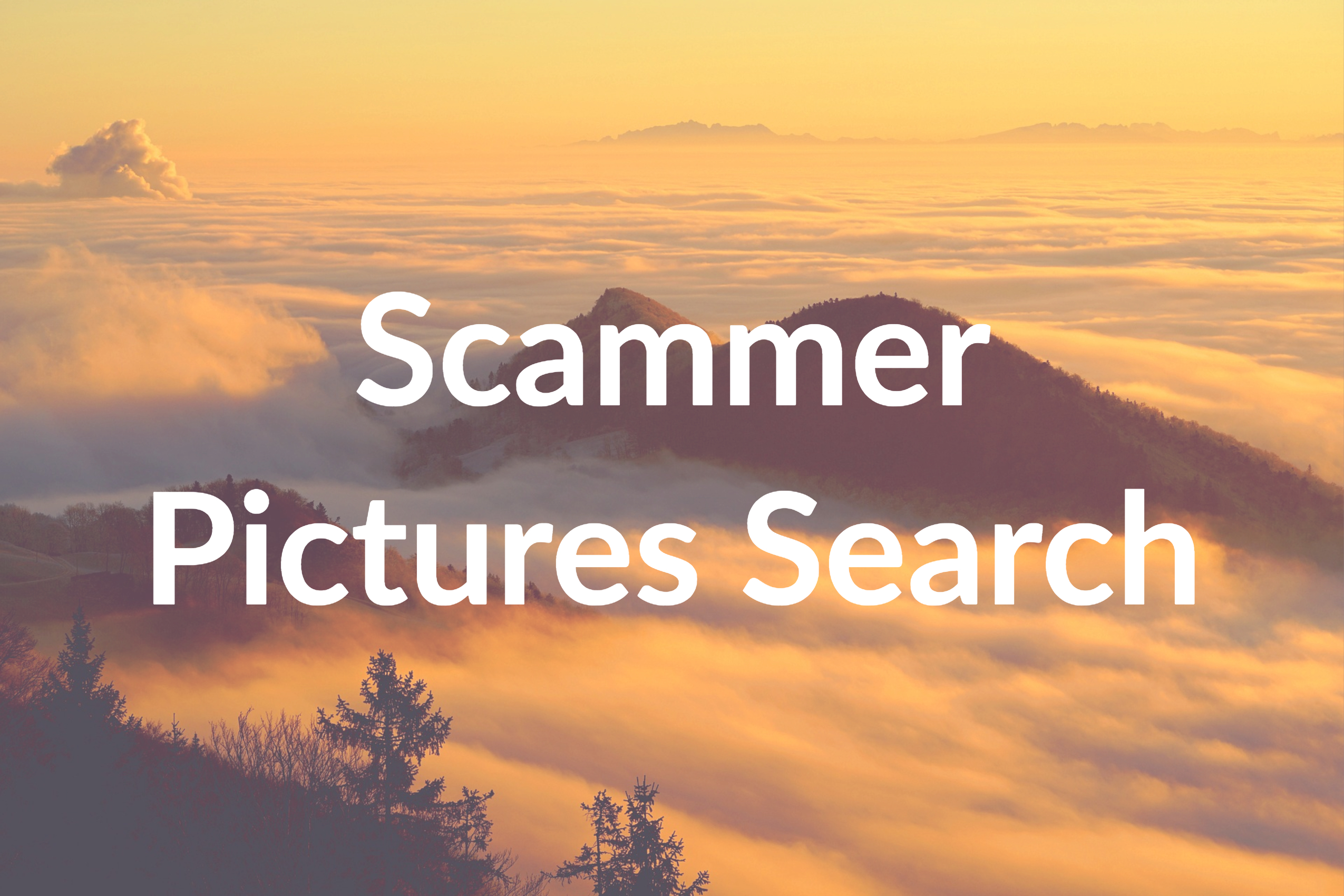 scammer pictures search free