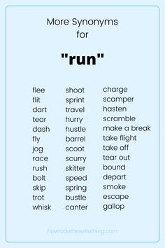 scamper antonym