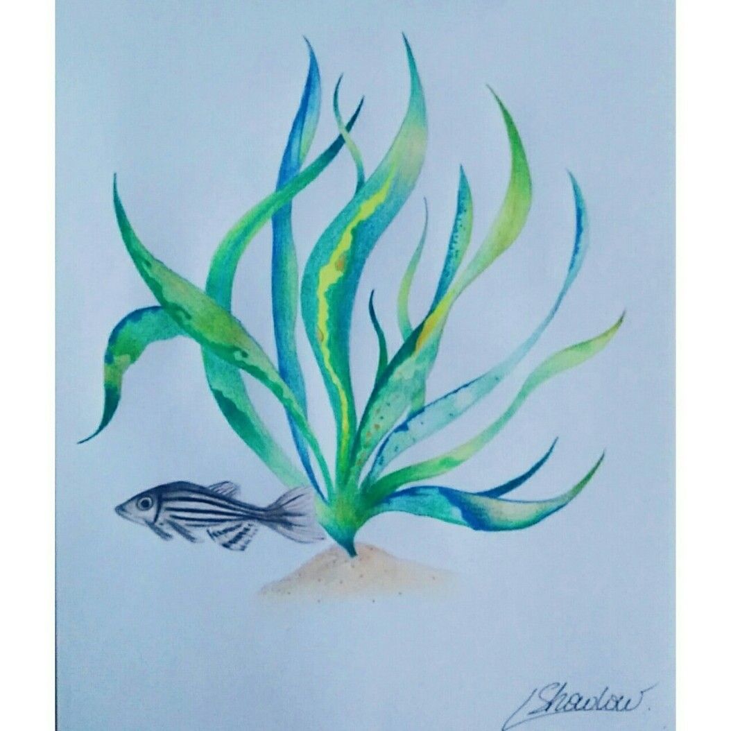 seaweed tattoo designs