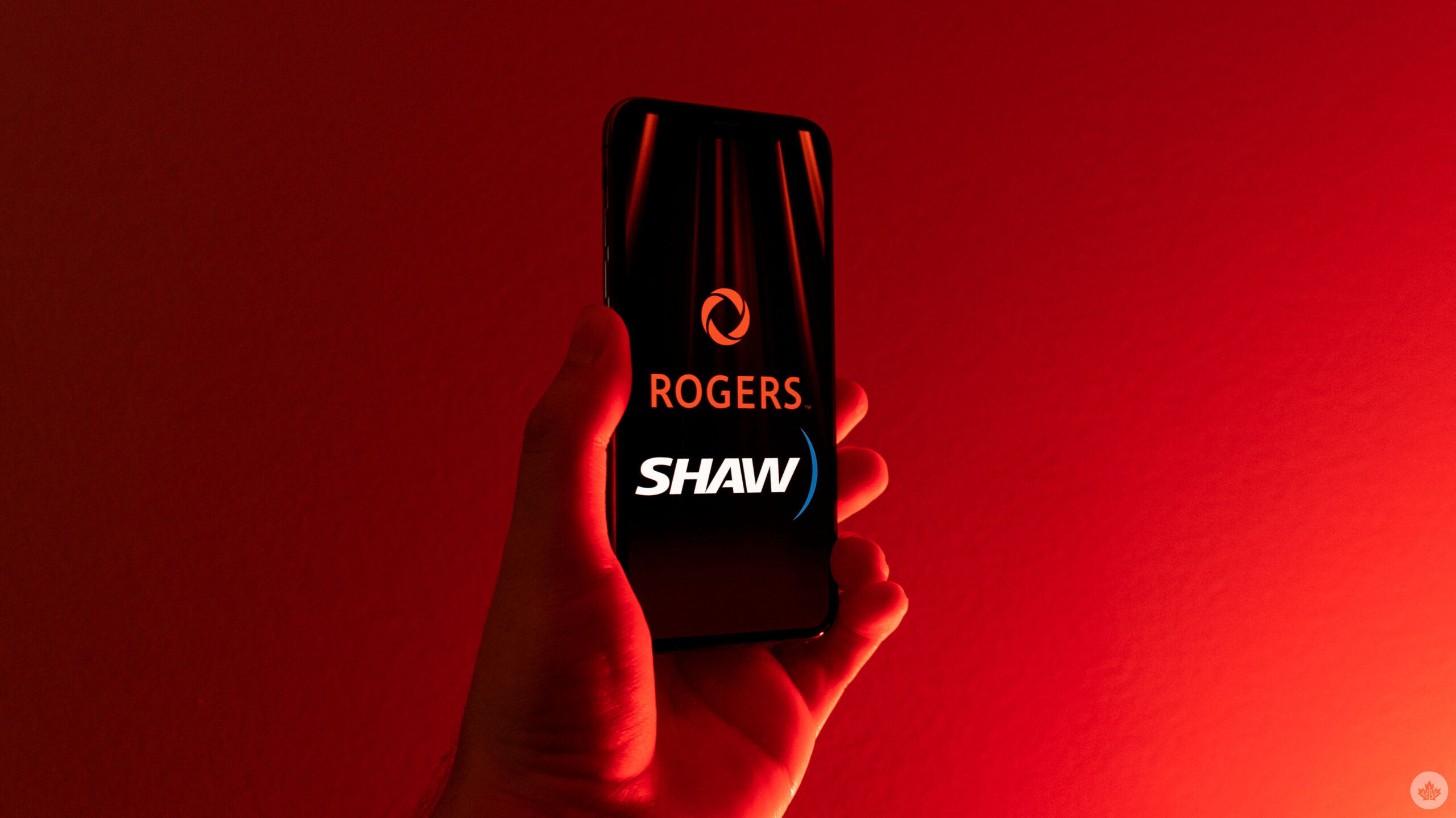 shaw rogers tv