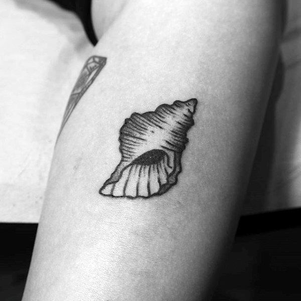 shell seashell tattoos