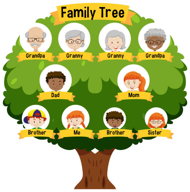 simple family tree clipart