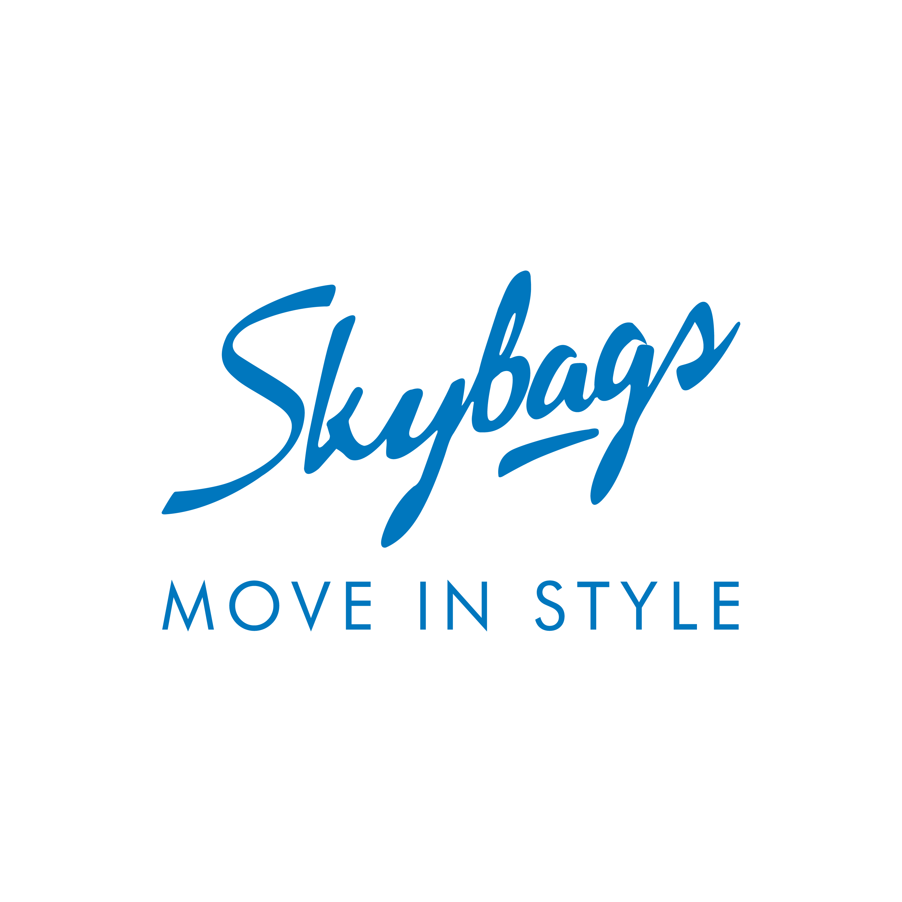 skybags original logo