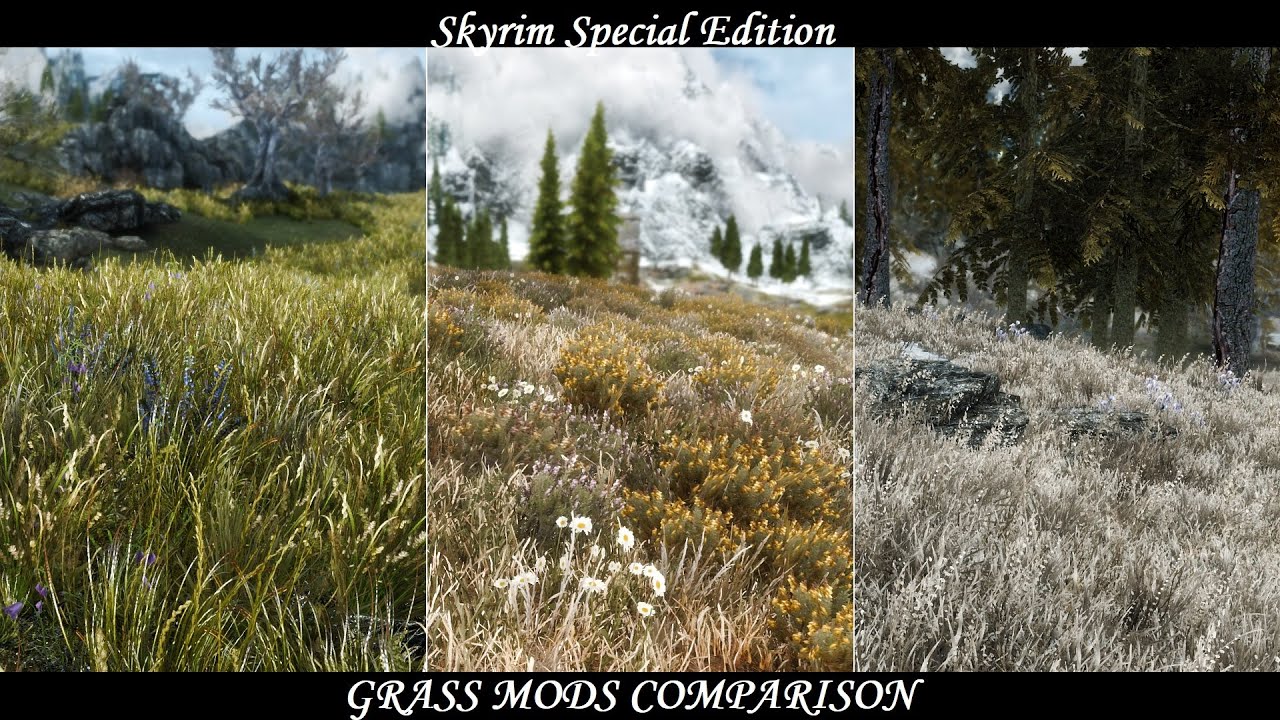 skyrim se grass mod