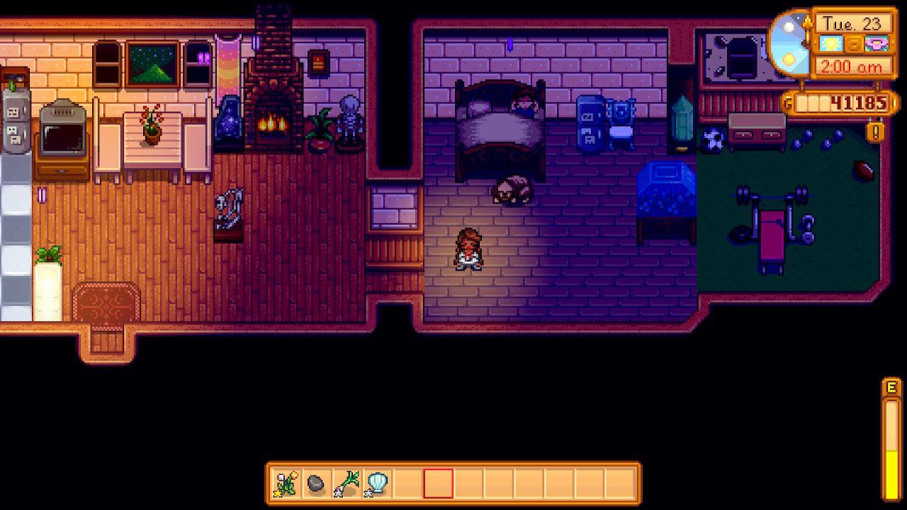 sleeping stardew valley