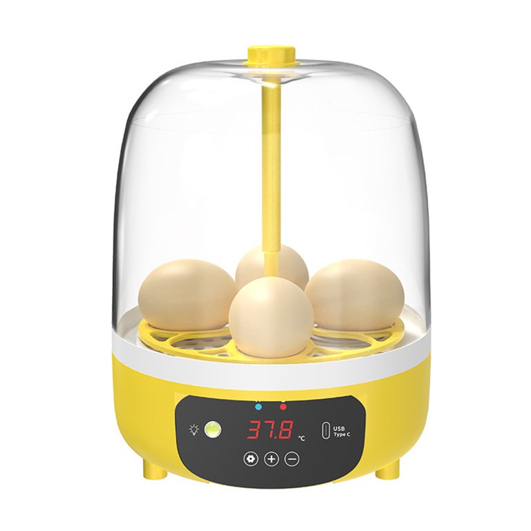 small egg incubator