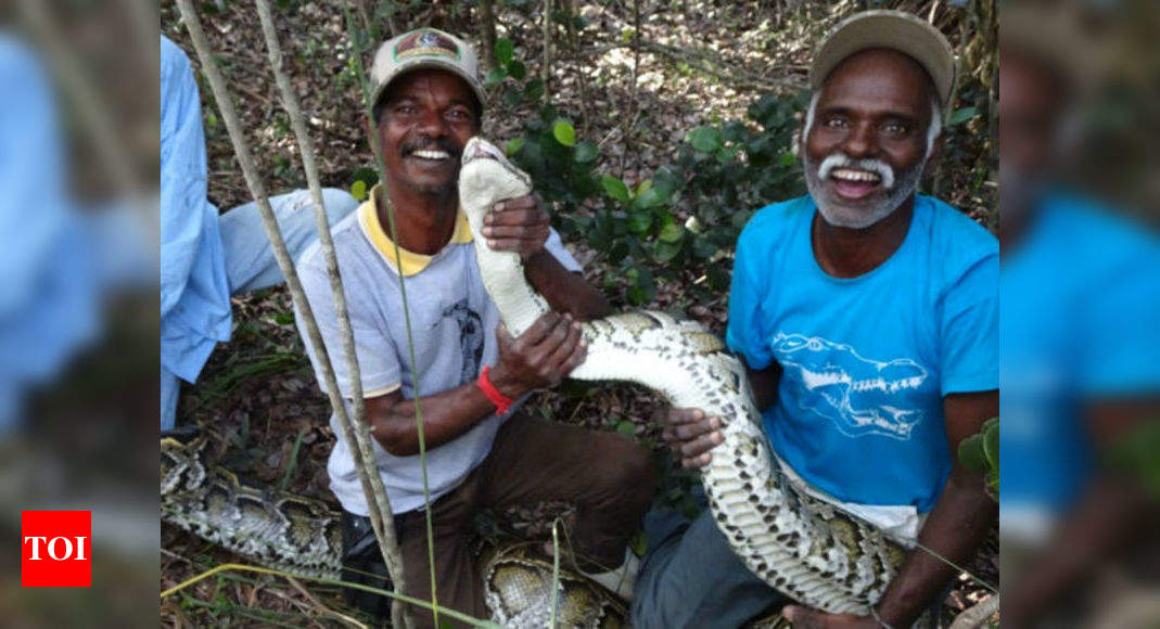 snake catcher in chennai