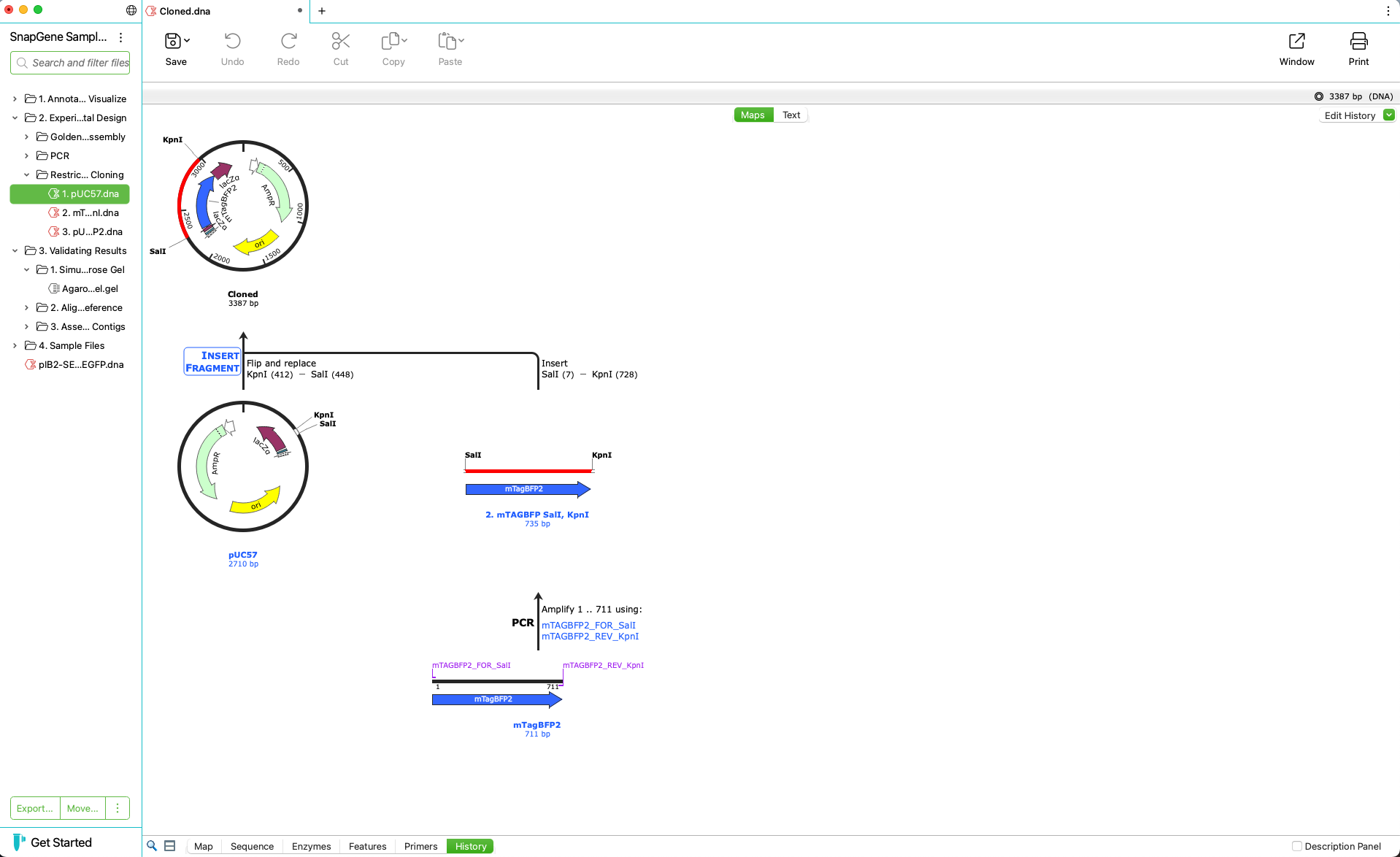 snapgene