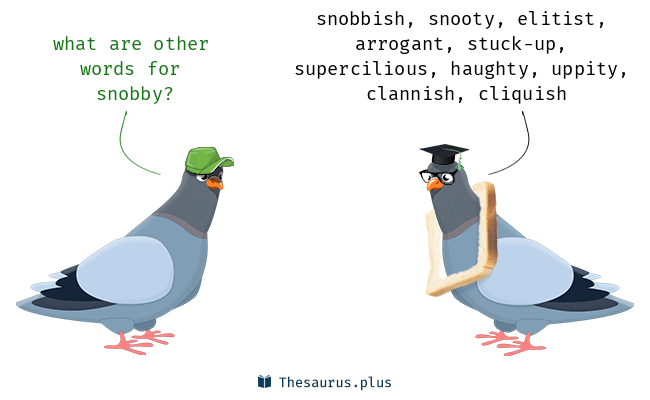 snobby synonym