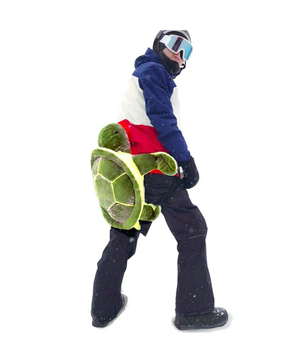 snowboard turtle