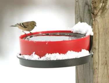 solar heated birdbath