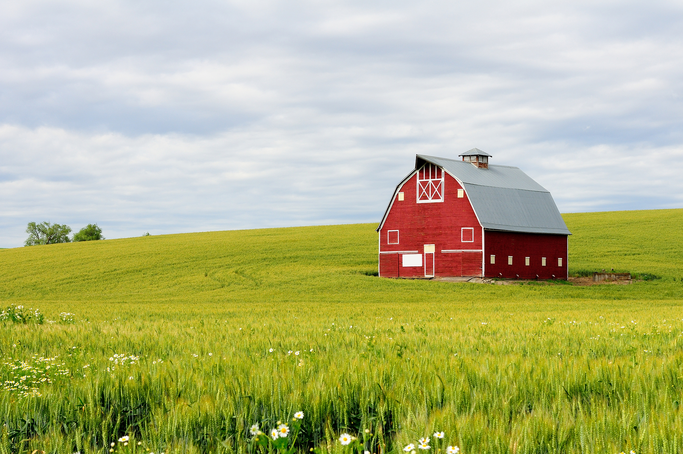 southern wisconsin land for sale