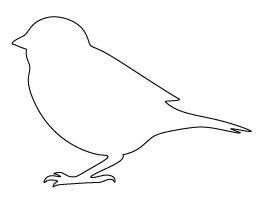 sparrow bird outline