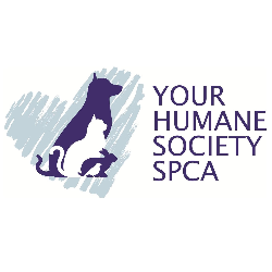 spca sumter county