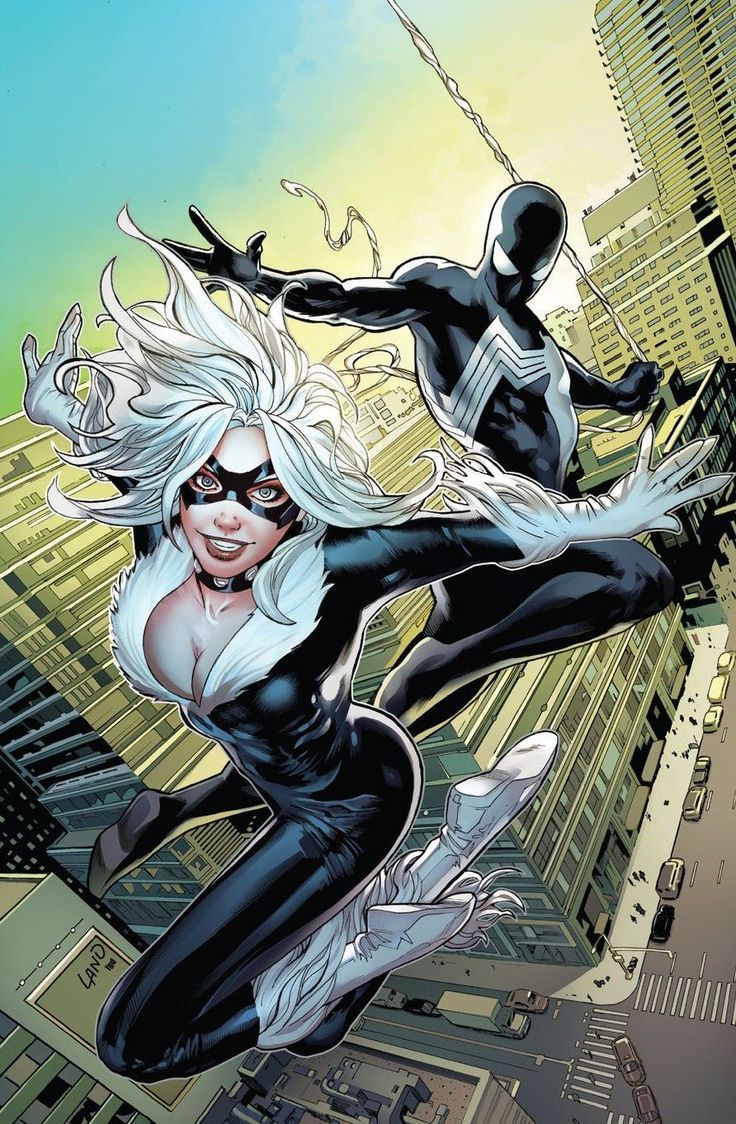 spiderman black cat