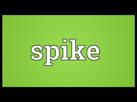 spike synonym