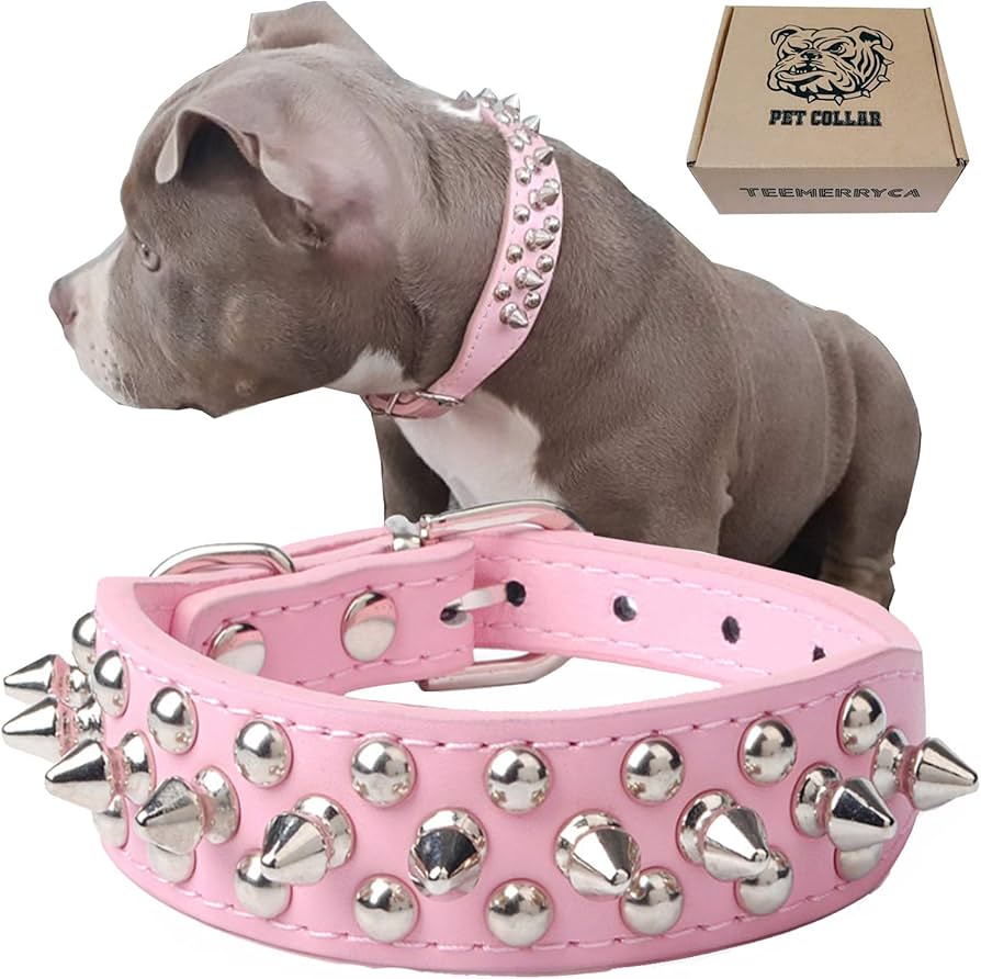 spiked collars for dogs amazon