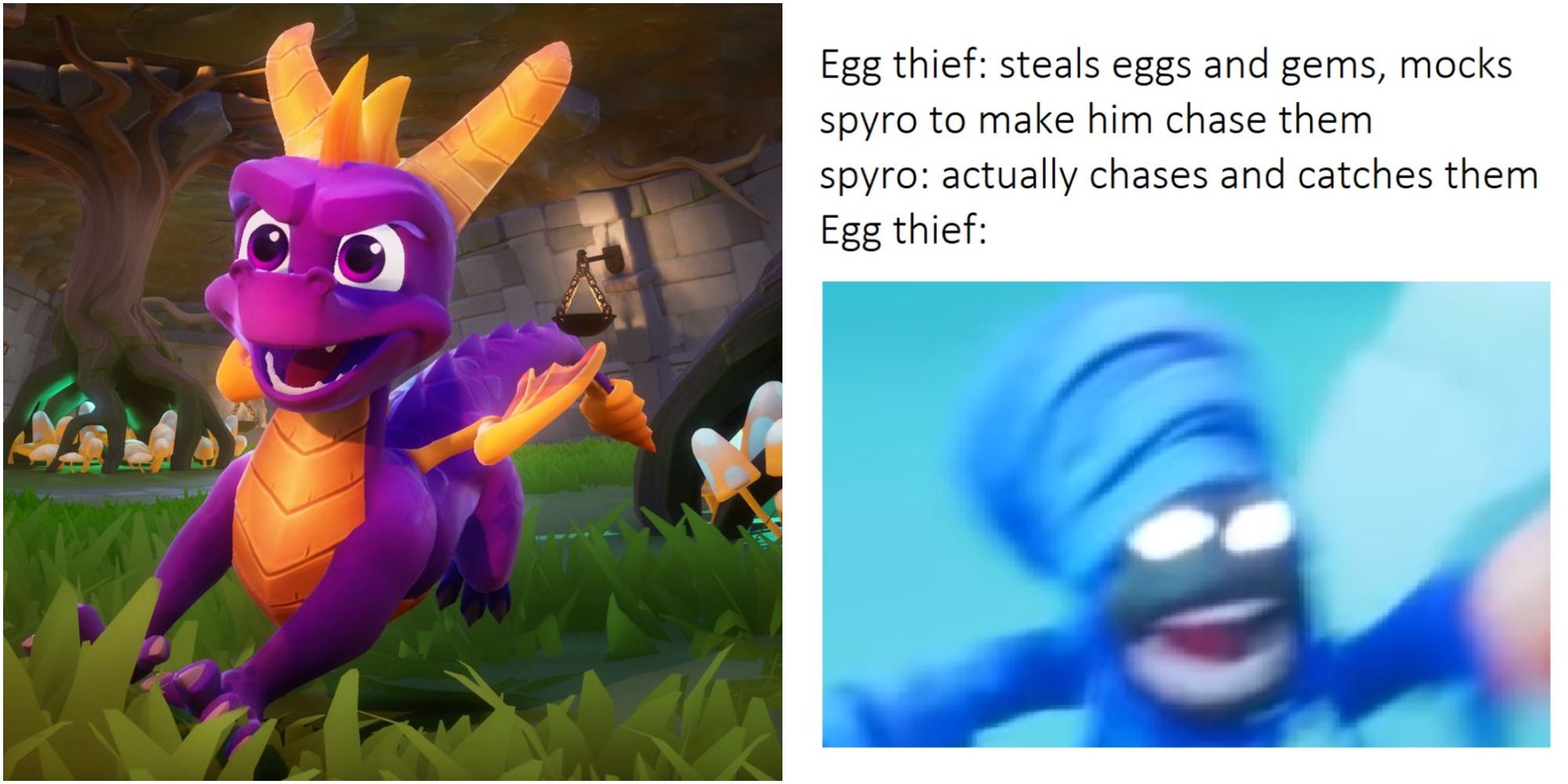 spyro memes