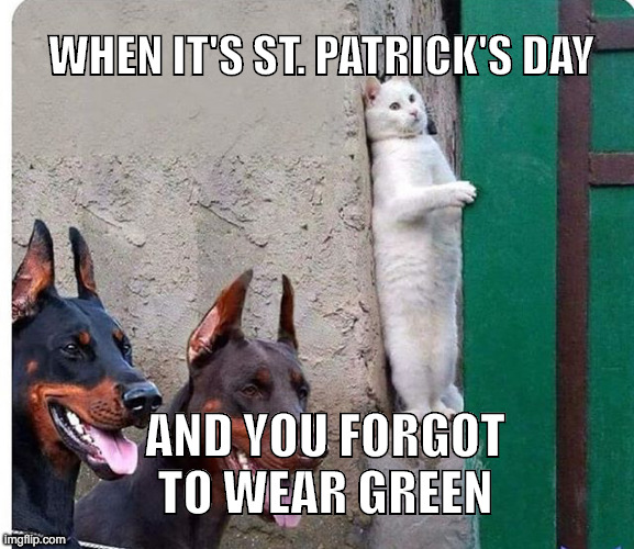 st patricks day memes