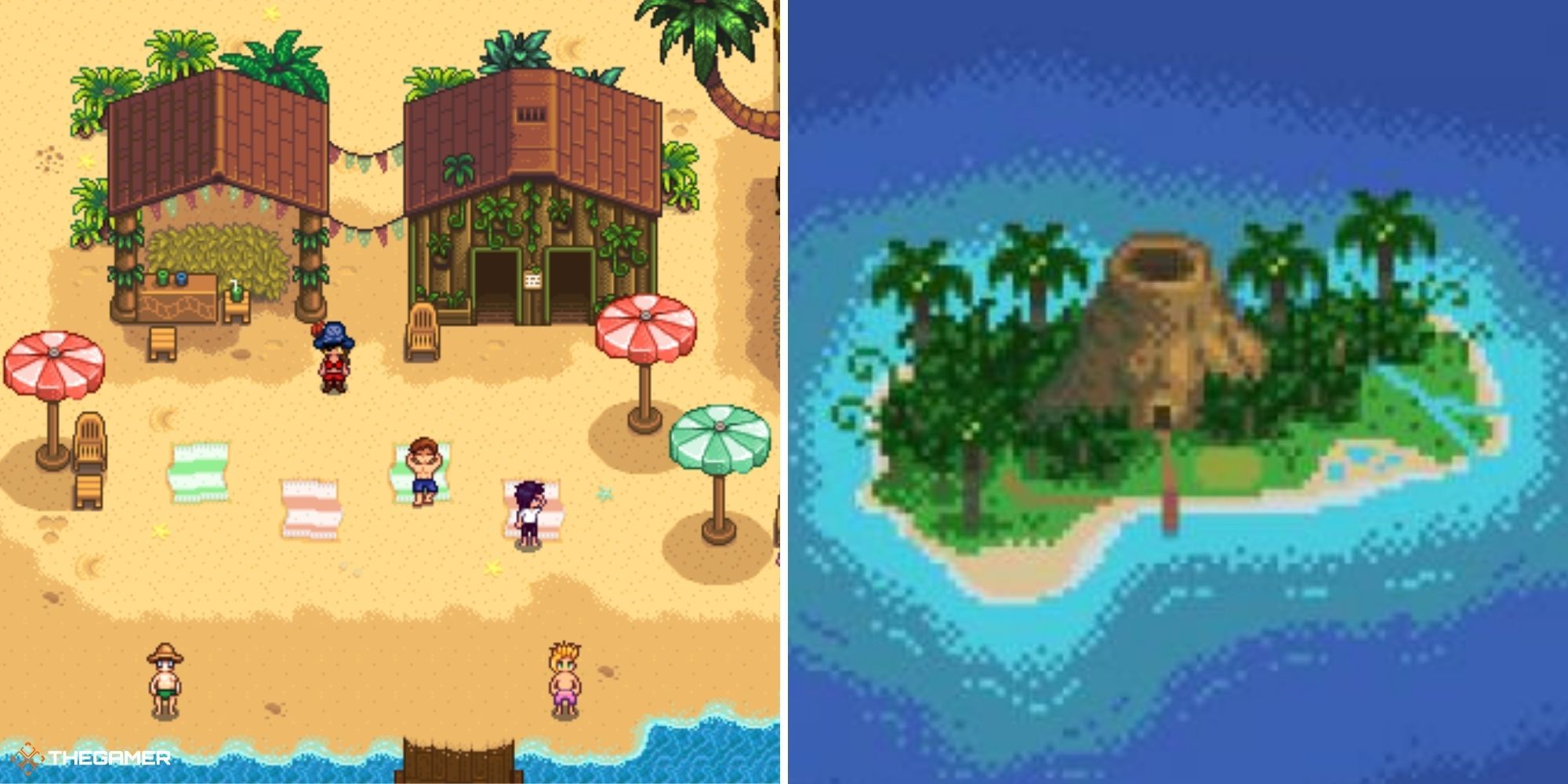 stardew valley island guide