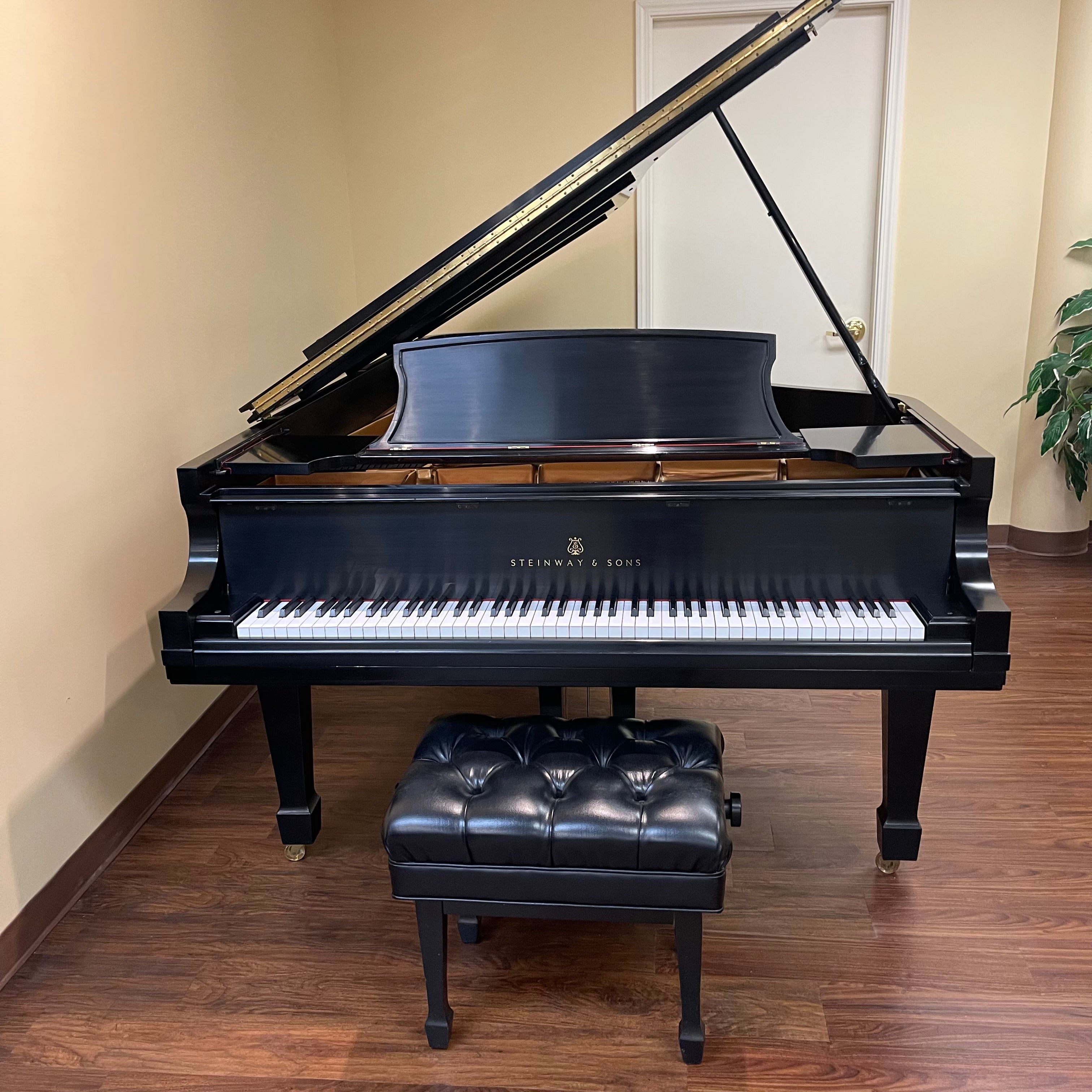 steinway and sons model d