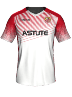 stevenage fifa 19