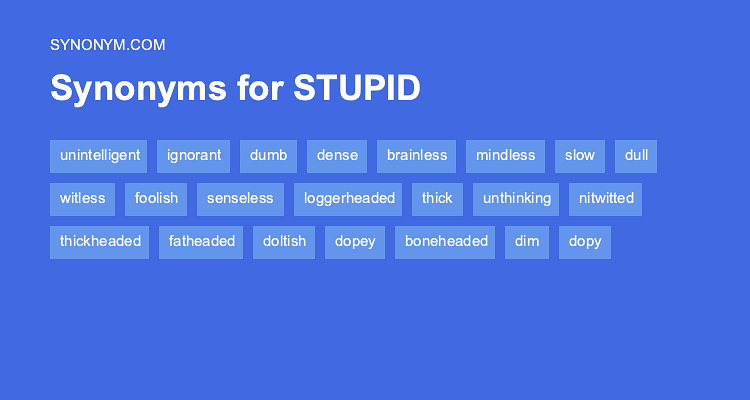 stupid synonyms