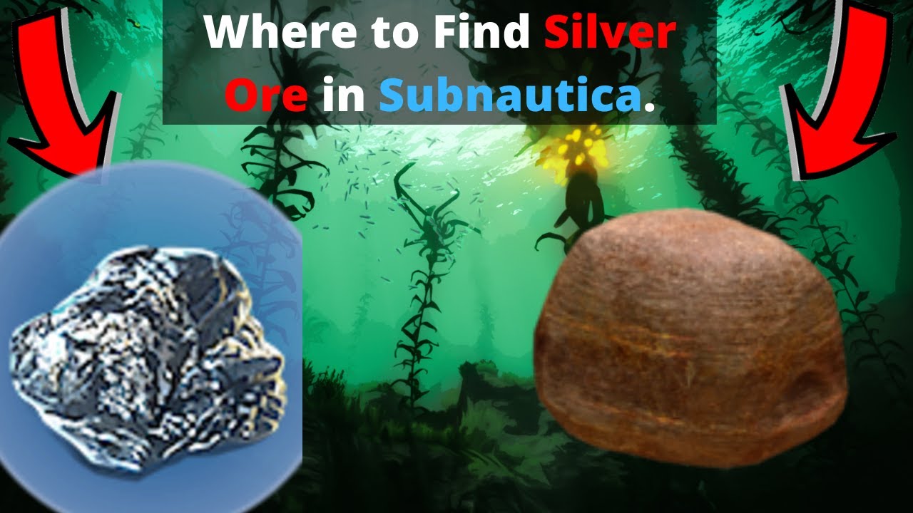 subnautica silver