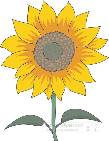 sun flower clipart