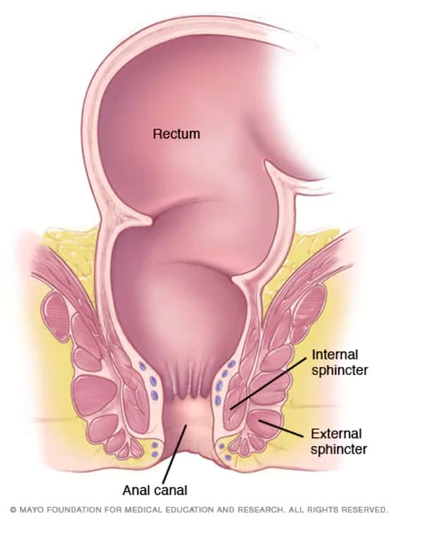 symptoms of anual cancer