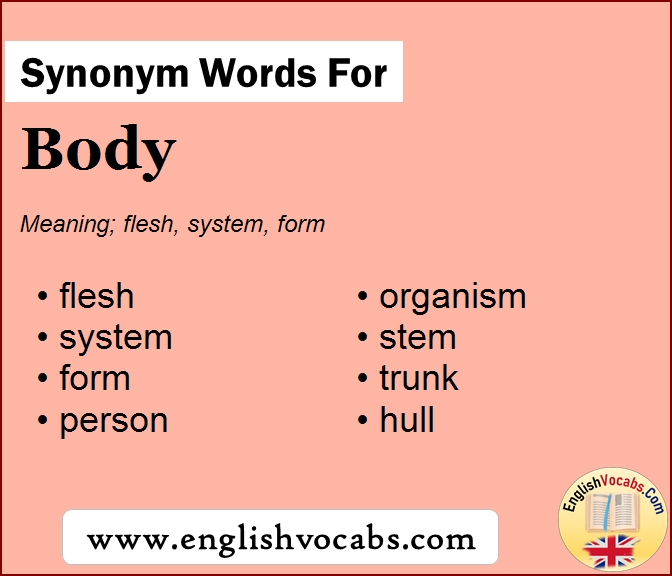 synonyms body