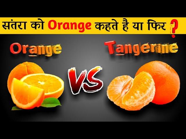 tangerine meaning in hindi