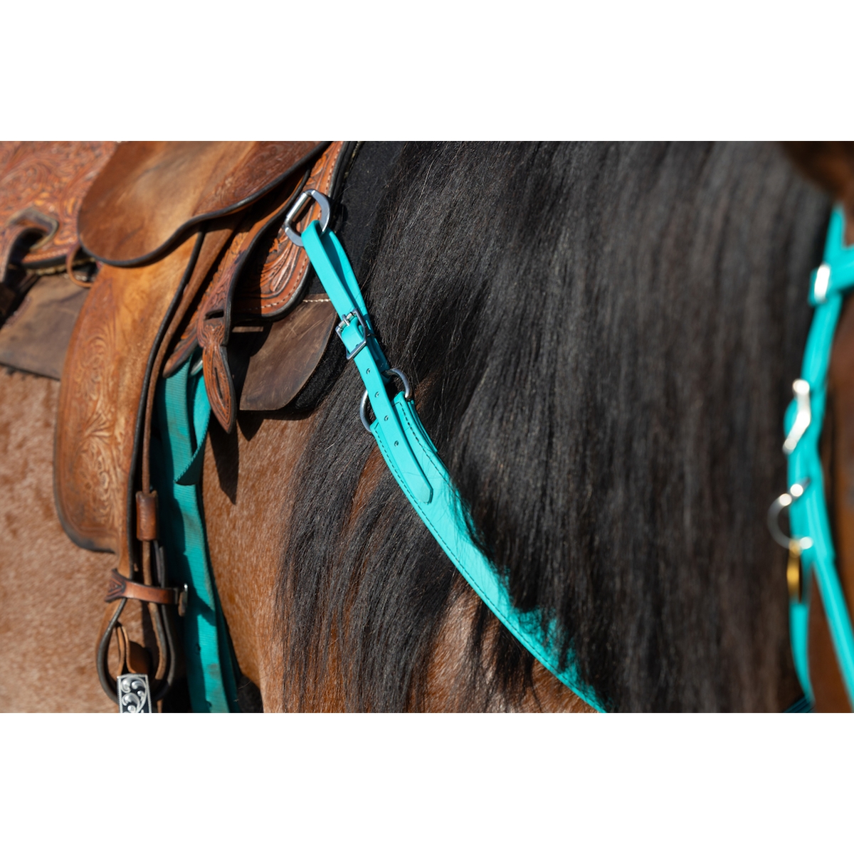 teal horse tack