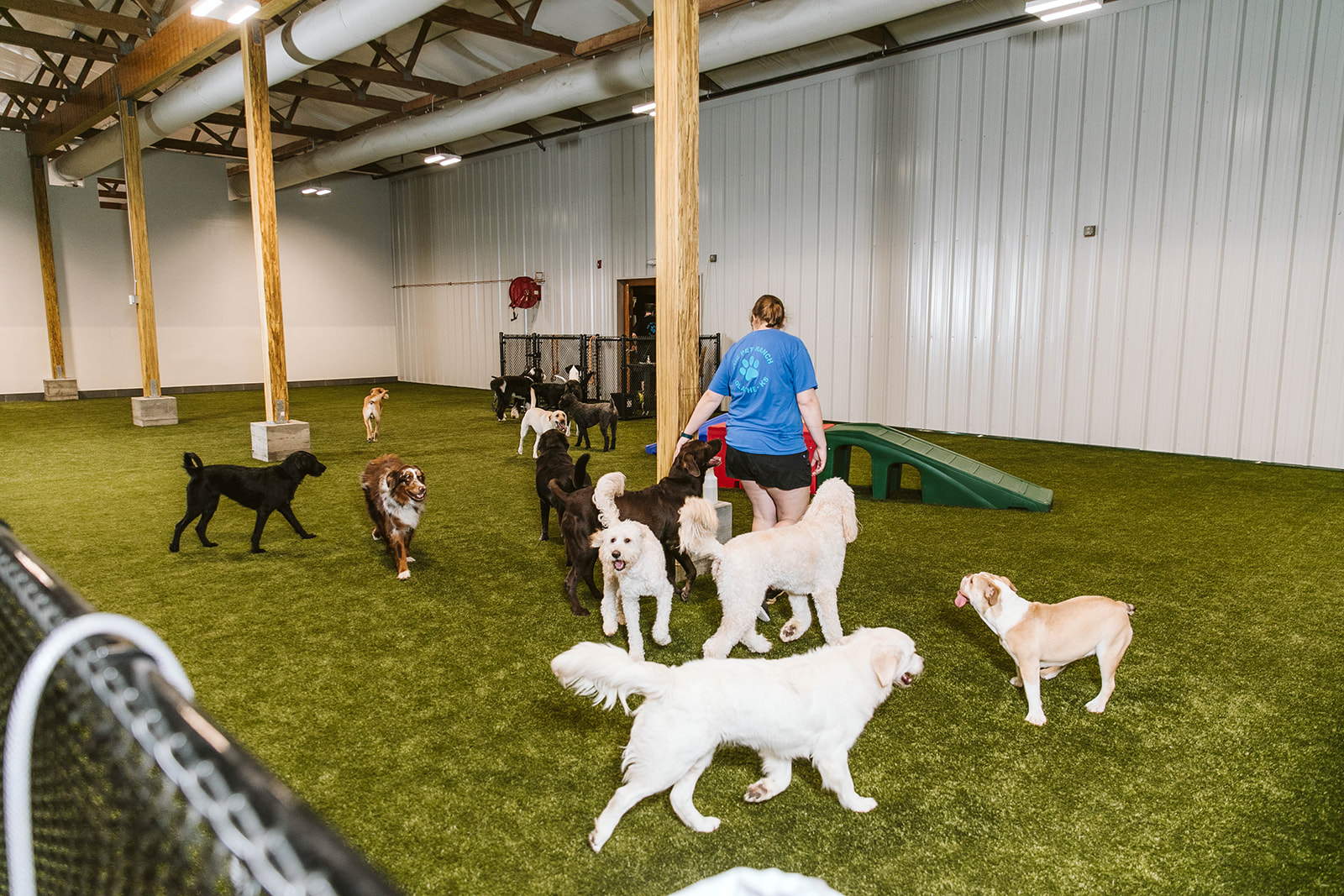 the pet ranch olathe