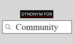 thesaurus for community