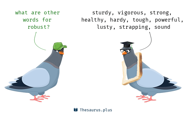 thesaurus robust