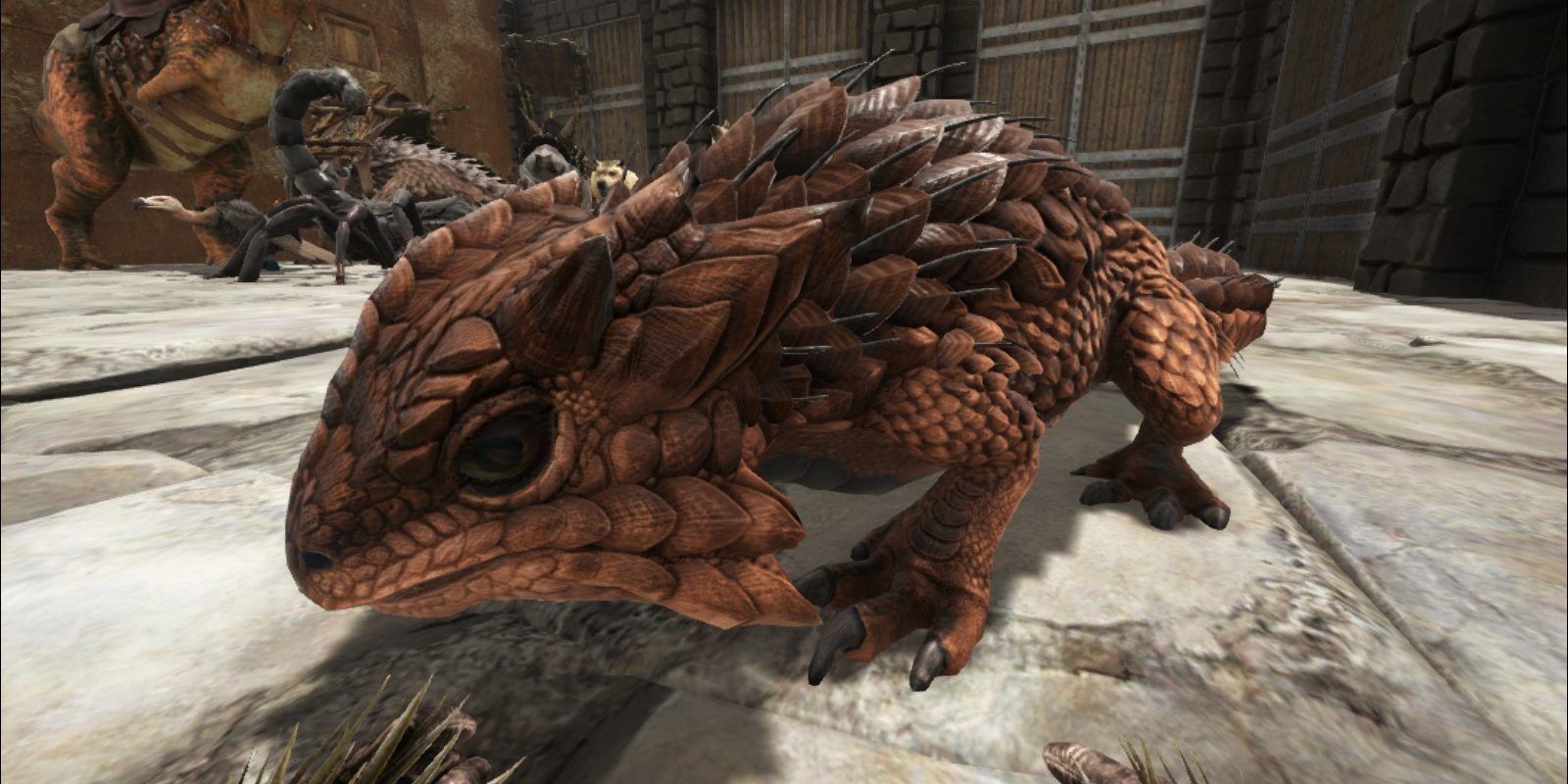 thorny dragons ark