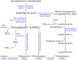 thromboxane