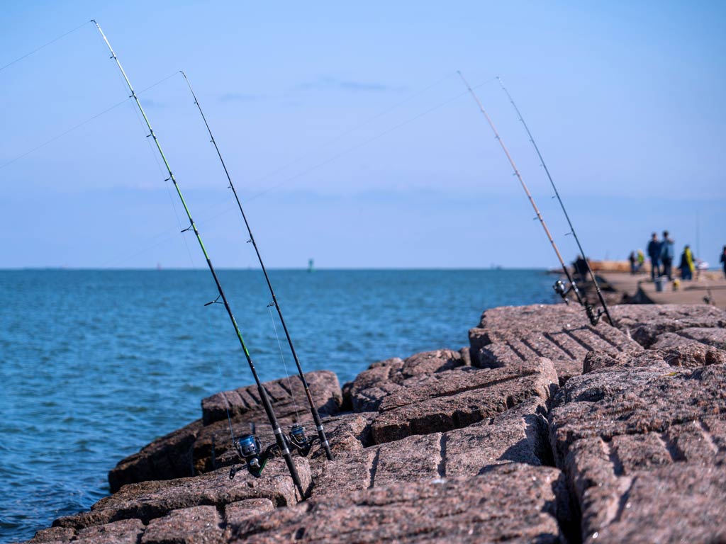 tides4fishing port oconnor