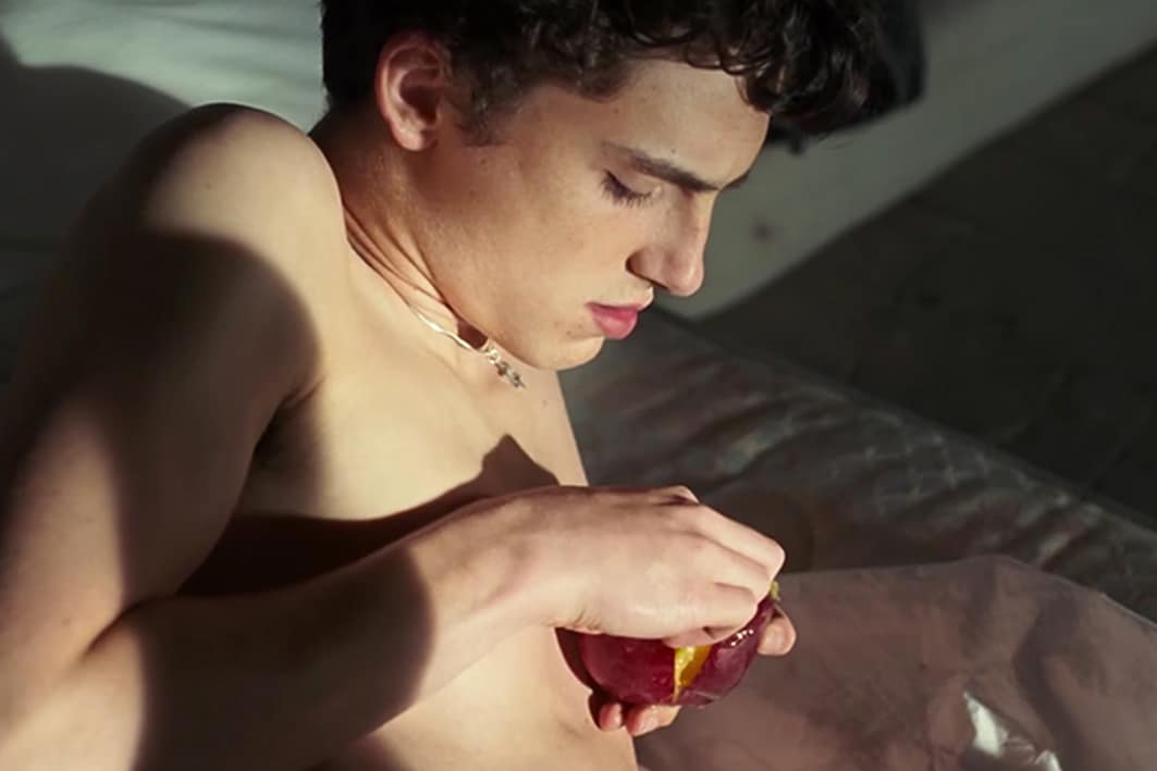 timothee chalamet porn