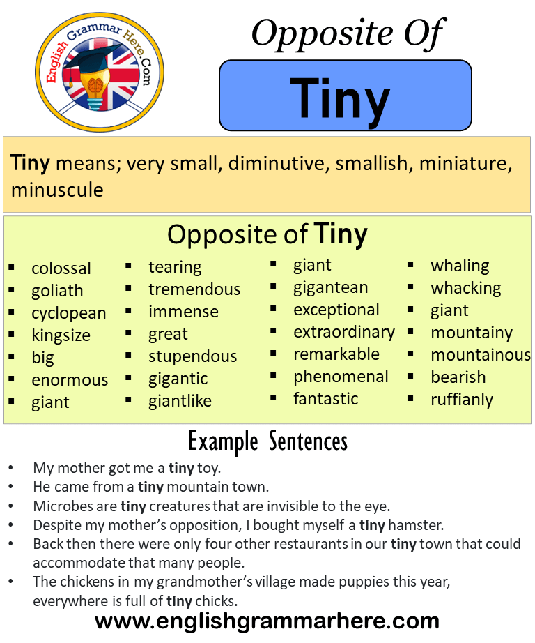 tiny antonyms in english