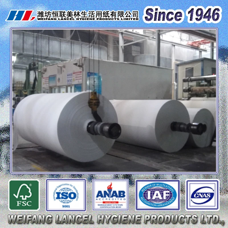 tissue paper raw material cost