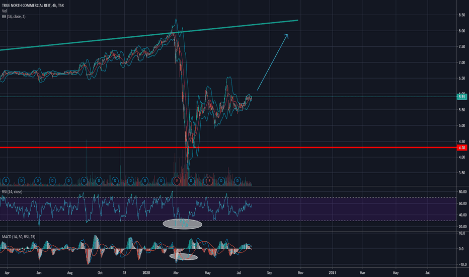 tnt.un stock