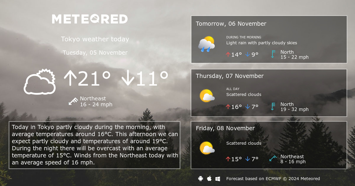 tokyo 30 day forecast