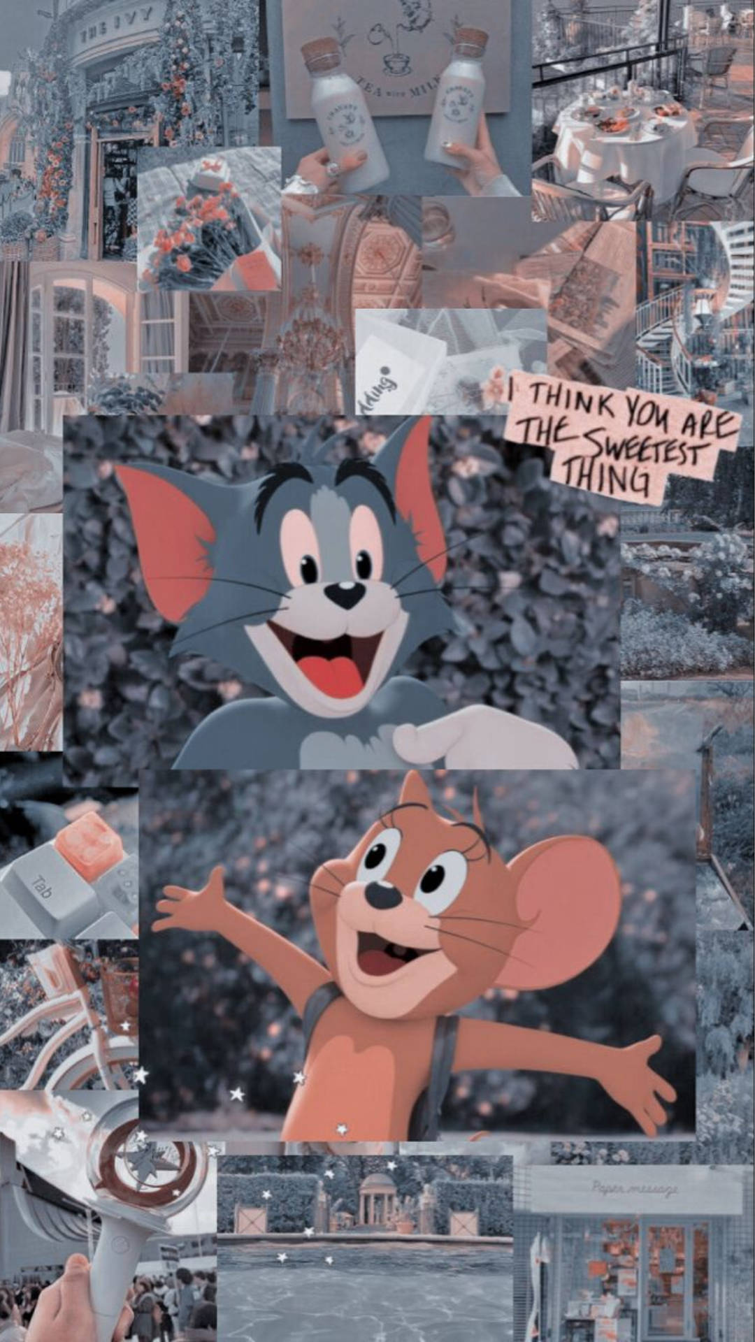 tom and jerry aesthetic