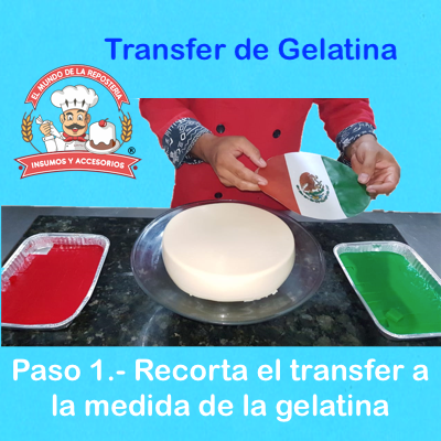 transfer para gelatinas donde comprar