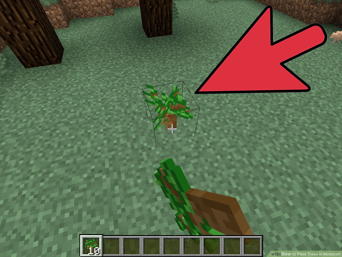 tree grow minecraft