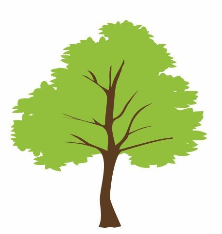 tree vector graphic