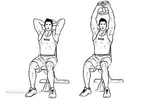 tricep dip alternative