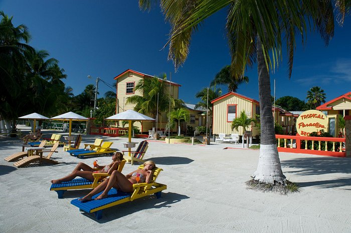 tropical paradise caye caulker